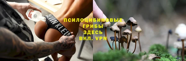 герыч Верхний Тагил